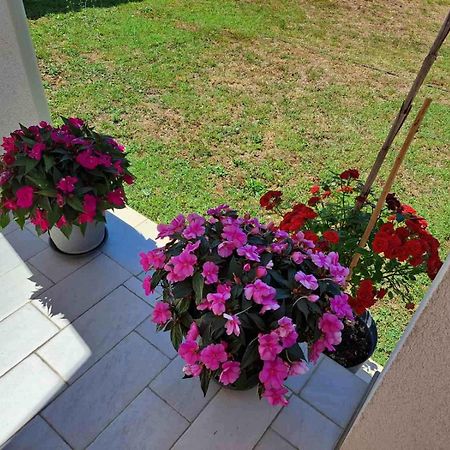 Apartmani Danica فودنيان المظهر الخارجي الصورة