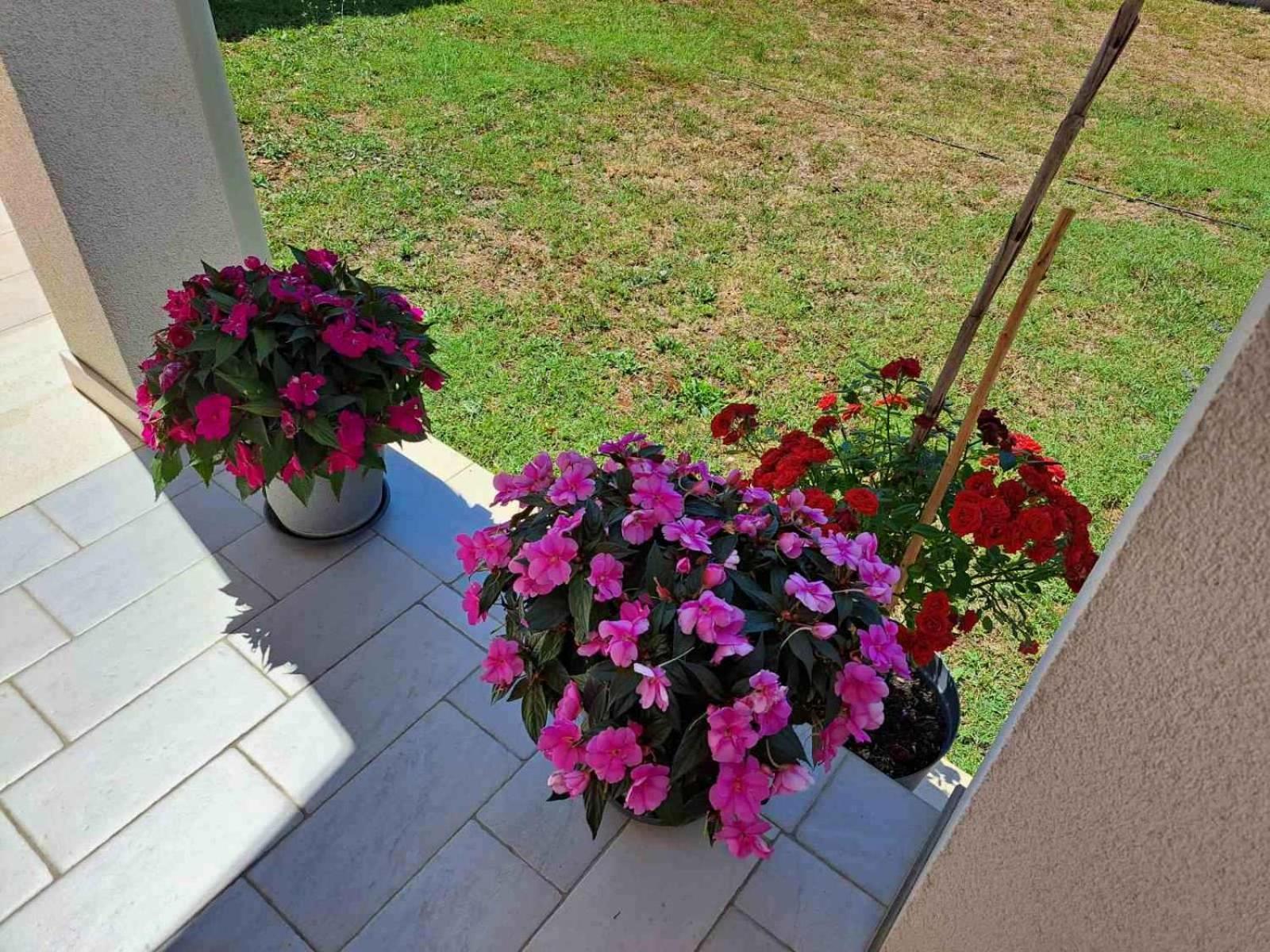 Apartmani Danica فودنيان المظهر الخارجي الصورة