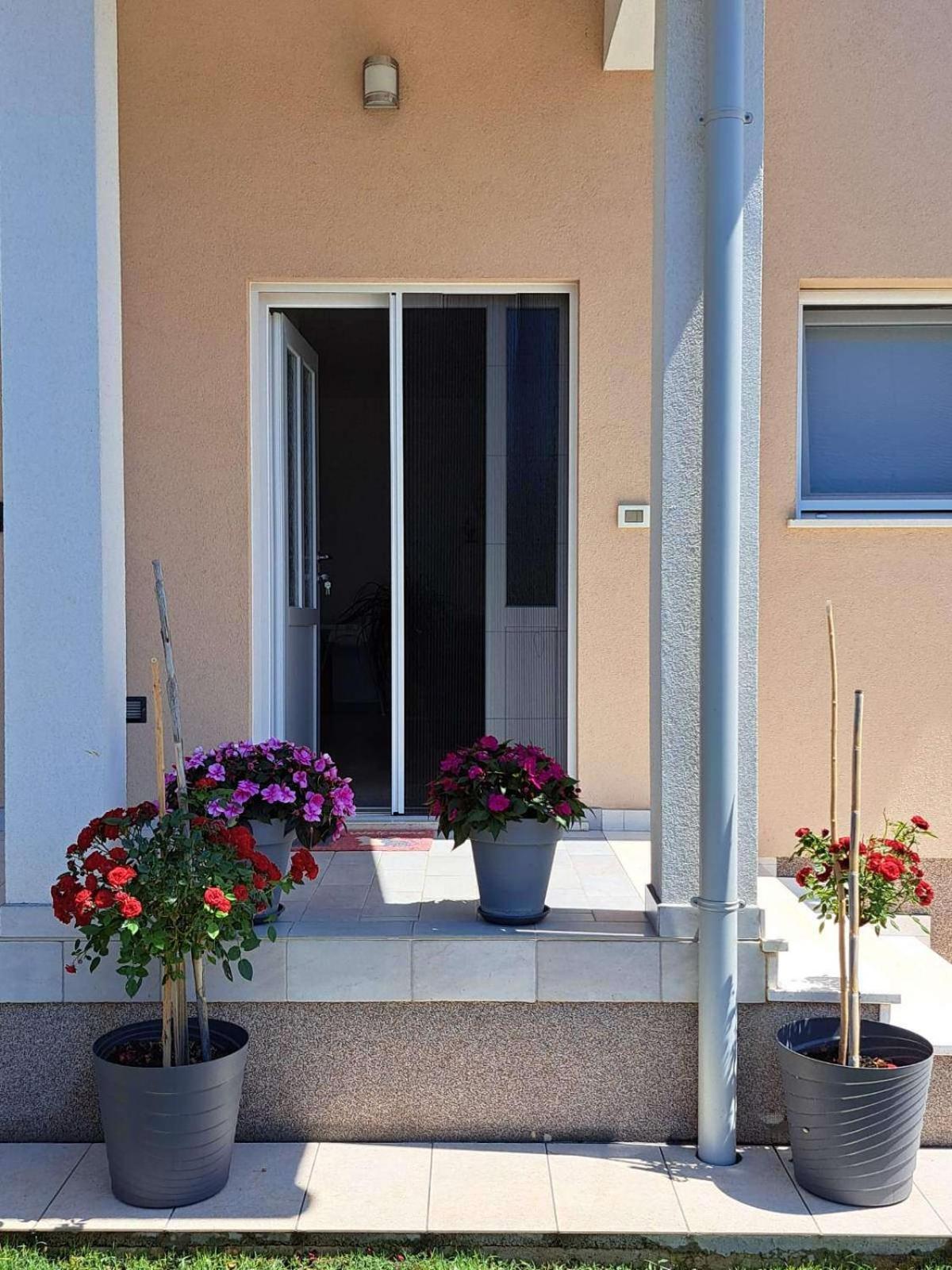 Apartmani Danica فودنيان المظهر الخارجي الصورة